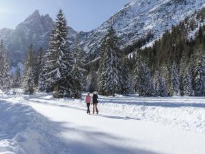 SAN PIETRO DOLOMITI Small Budget Hotel