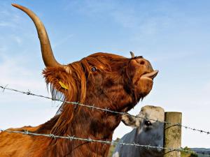 2 Bed in Sowerby Bridge 90887