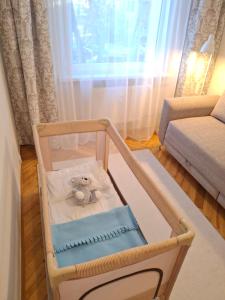 Angel Apartment near city centre