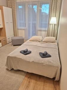 Angel Apartment near city centre