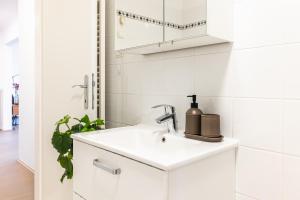 New stylish apartment in the heart of Vienna