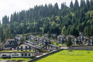 EcoBerghaus - Котеджне містечко