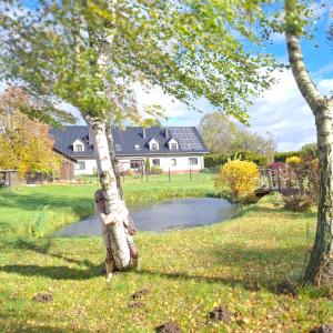 Apartamenty TUTERRA I