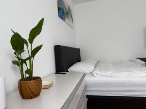 Charmantes Studio in Chur - alles in Reichweite