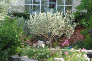 B&B / Chambres d'hotes B&B La Badelle : photos des chambres