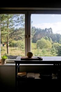 Przytulny dom w sosnowym lesie nad rzeką i jeziorem