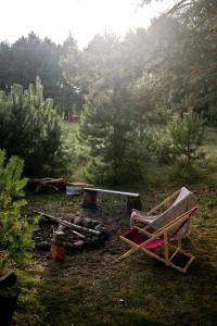 Przytulny dom w sosnowym lesie nad rzeką i jeziorem