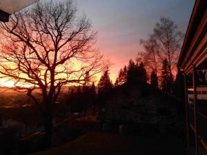 Dornbirn Zentrum Bahnhof
