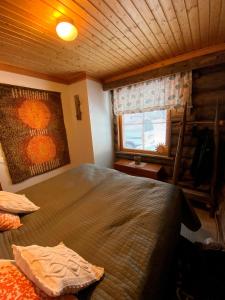 Lomailevi C7 Lapinsirkku Visit Levi