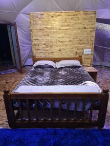 Dreamy Wonders Domes