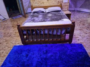 Dreamy Wonders Domes