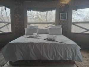 Elephant Memories Glamping Safari Tents and more
