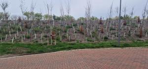 Solid Mirror Home Milton Keynes