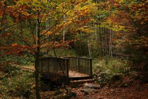 Évasion Nature 768m