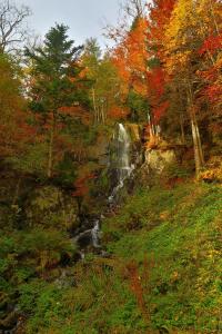 Évasion Nature 768m