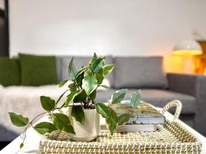 spacious self-contained studio near Sydney CBD