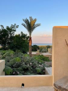 Beit Ain el Nour - Source of Light