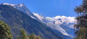 Appt Cosy au centre Chamonix
