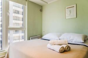 Contemporary 2BR Gem in Providencia