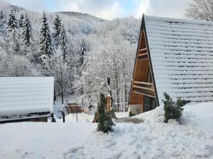 Cabana Aframe Blidari