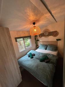 Cozy Mobile Home Tante Truus met privé infrarood sauna - Recreatiepark t Veluwshof - VELUWE