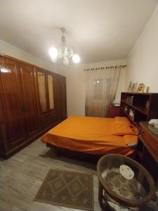 Large luxury apartment