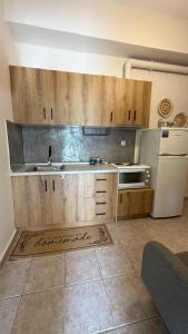 DownTown Apartment Konitsa