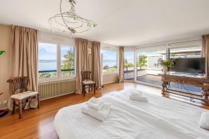 Villa heart of Evian swimming pool