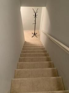 Nice Basement room in the house