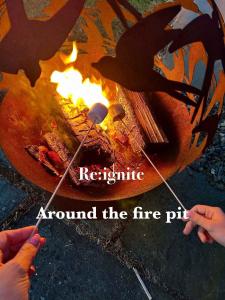 Foresters Retreat Glamping - Dinas View - Vaccinated dogs over the age of 2 are accepted