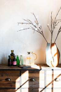 Villa des Landes Villa de vacances à Seignosse pour 8 personnes