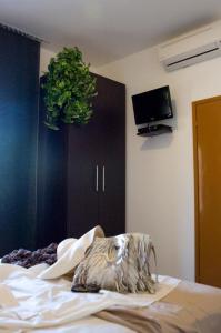 Augusta Palm Apartment