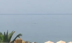 Seaside Studios - Paralia Dionysiou