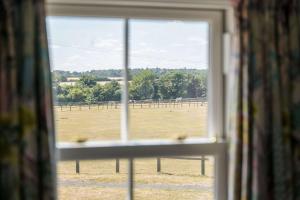 FORGETMENOT COTTAGE - Wells-next-the-Sea