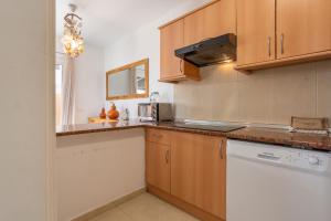 Obsidian Puertito Aguamarina