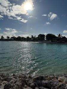 Beach, Golf, Pools, Jacuzzi, and many more!