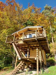 Treetop Tiny House Pod Korunami