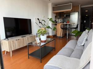 Las Condes Skyline View of Cerro Manquehue