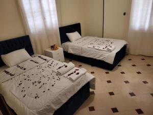 Lucky Pyramids View Inn