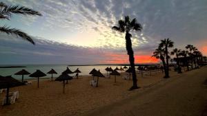 Alojamiento Tenerife Sur