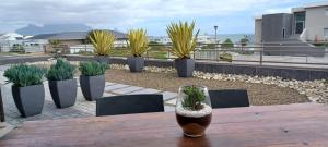 Cozy Sea View Escape with BBQ Demi Studio