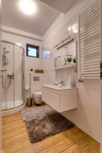 Urban Oasis near Herastrau Park