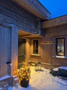 Exclusive cottage on Geilo