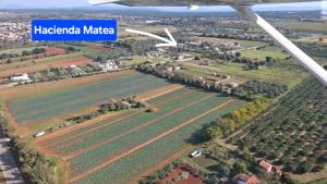 Hacienda MATEA an oasis of romance near the beaches, surrounded by olive trees, pool, jacuzzi and playground, Pula - Istria