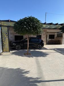 البيت الريفي - Strutture non classificate a Jerash