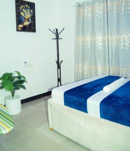 Dreamland Apartments