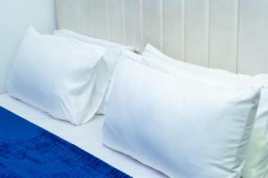 Dreamland Apartments