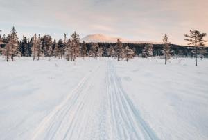 Brunbjörnen Lodge med bastu och utsikt i Idre