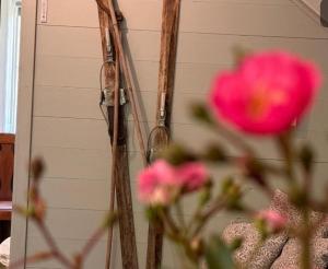 Apartment Villa Ögärde