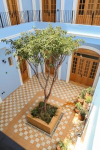 Calle y Número, López Cotilla